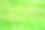草原景观与野花和野生植物在原生草原上图片下载