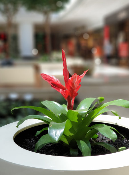 绿色世界图片下载