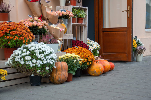 秋天的花店在街上图片下载