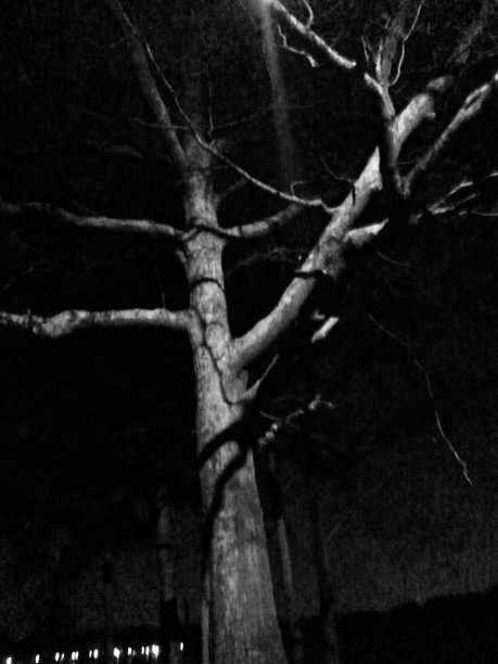 令人毛骨悚然的图片下载