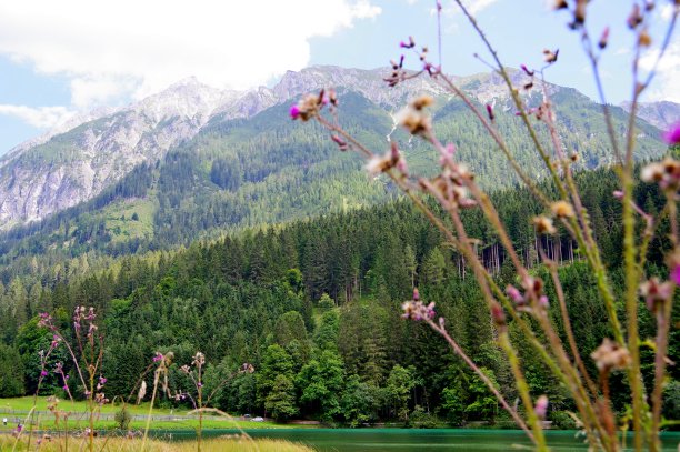 令人印象深刻的山与绿色的森林和蓝天图片下载