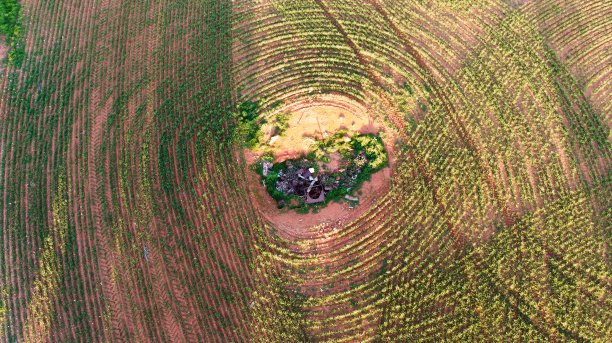 领域中的模式图片下载