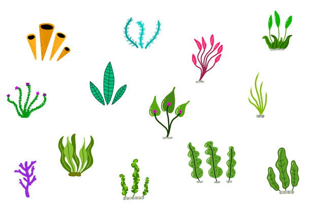 水族馆海洋珊瑚图片下载