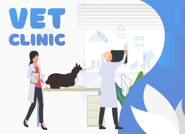 兽医在兽医医院检查狗图片下载
