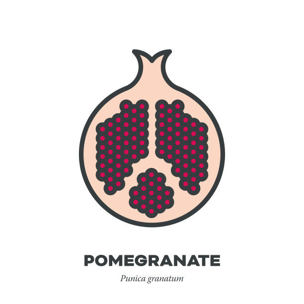 石榴水果图标，填充轮廓样式向量图片下载