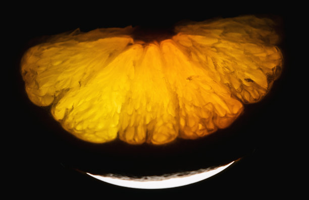 一片多汁的橙子图片下载