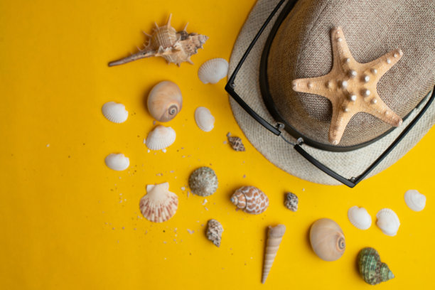 夏季饰品，海异国贝壳，巴拿马草帽和太阳眼镜在紫罗兰背景。暑假和海的概念。Copyspace文本图片下载