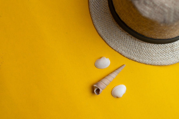 夏季饰品，巴拿马草帽和异国情调的贝壳在黄色的背景。暑假和海的概念。百分比的概念。Copyspace文本图片下载
