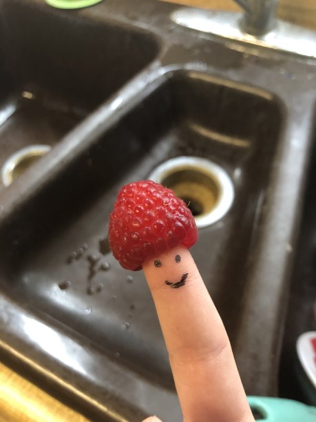 水果的朋友图片下载