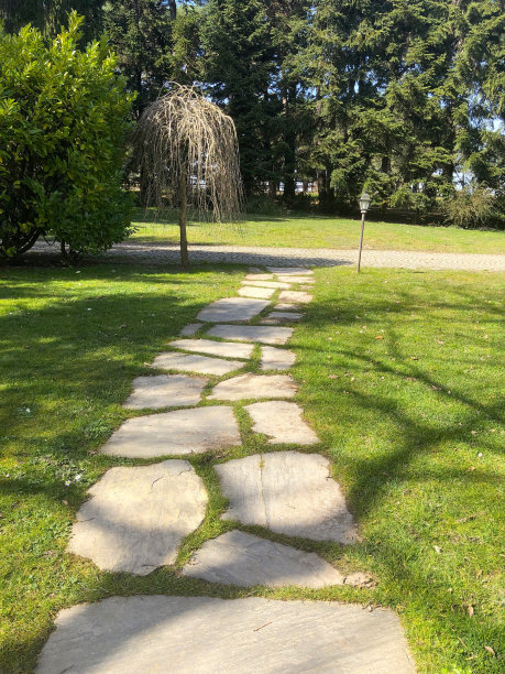 花园内的石砌步道和草坪图片下载