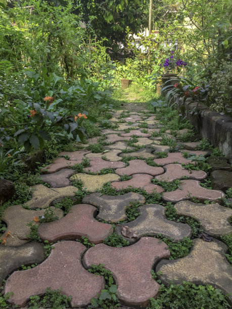 铺了石头的花园小径图片下载