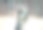 羊驼特写图片下载