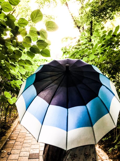 花园里的雨伞图片下载
