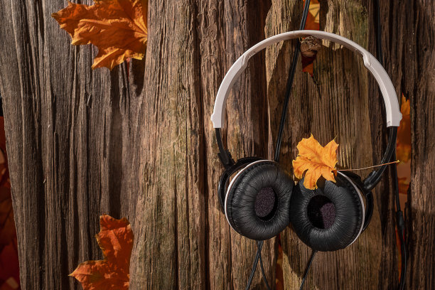 秋天的静物图片下载