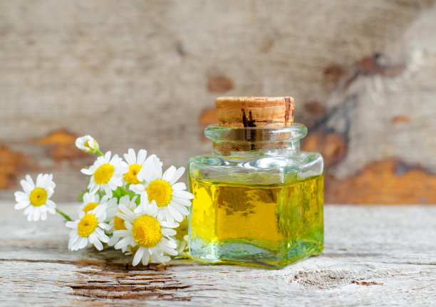 一瓶罗马洋甘菊精油(提取液，酊剂，输液)。老木的背景。芳香疗法，水疗和草药概念。副本的空间。图片下载