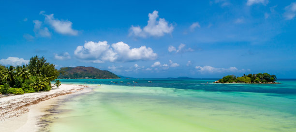 热带海滩，有大海和棕榈树，无人机拍摄。海滩和海边的照片。浪漫的海滩鸟瞰图。图片下载