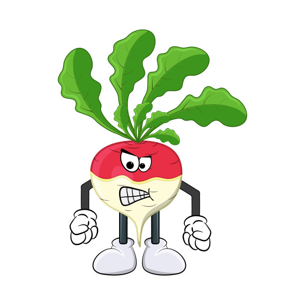 愤怒的萝卜，疯狂的卡通人物插图孤立在白色的背景图片下载