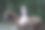 穿着时髦的女孩骑着棕色的马。美丽的白人女孩，一头金色长发，穿着粉红色的裙子，骑着一匹棕色的马在森林里。自然美景的概念。时尚插画。自然背景图片下载