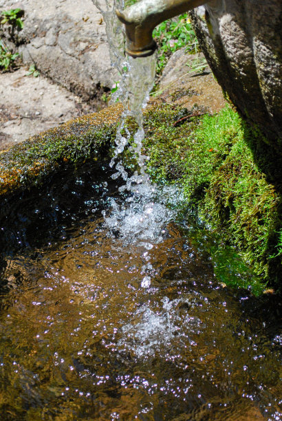 公园里的喷泉图片下载