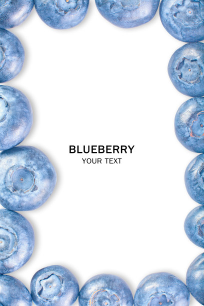 美味的蓝莓孤立在白色的背景图片下载