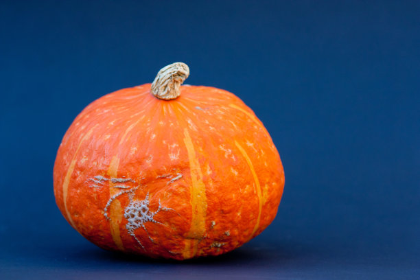蓝色背景上的南瓜。图片下载
