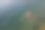 年轻的雄性游泳者在夏天的海上图片下载