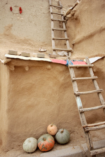 秋天成熟的有机南瓜图片下载