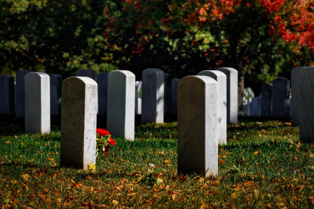 瓦法尔图片下载