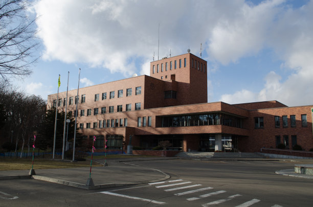 Otosha市政厅图片下载