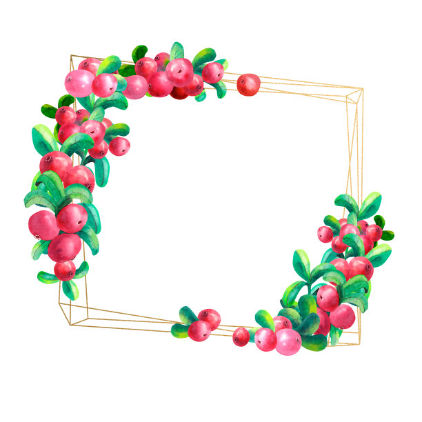 白色背景上的成熟浆果和越橘被分离出来。黄金的几何框架。水彩插图。图片下载