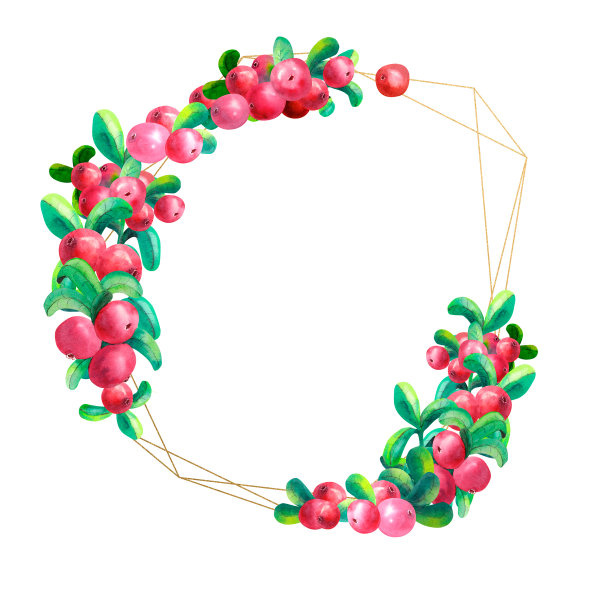 白色背景上的成熟浆果和越橘被分离出来。黄金的几何框架。水彩插图。图片下载