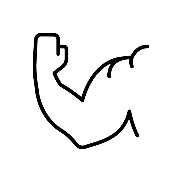 肱二头肌肌肉图片下载