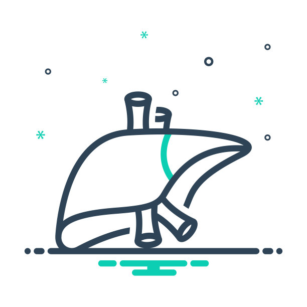 肝脏解剖学图片下载