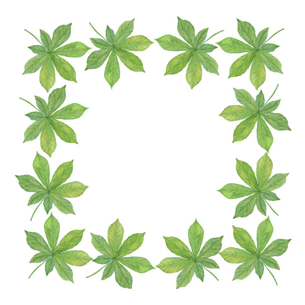 绿板栗树叶方框，水彩边框点缀，卡片排列图片下载