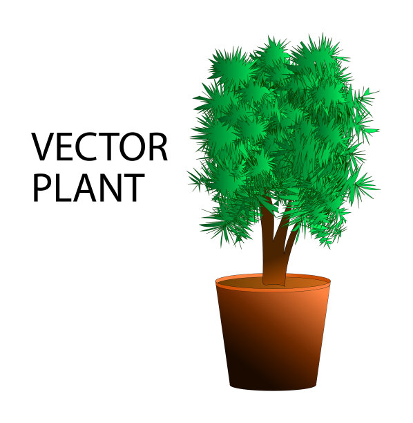 植物在花盆矢量插图图片下载