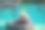 年轻女子正在户外操场上训练。健身房露天健身户外健身概念。图片下载