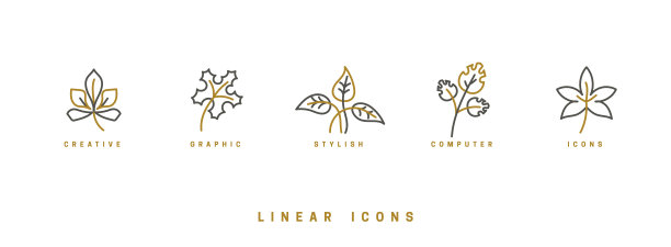 图标花，野花，草药，叶子，在线性风格。花的分支图标矢量图形图片下载