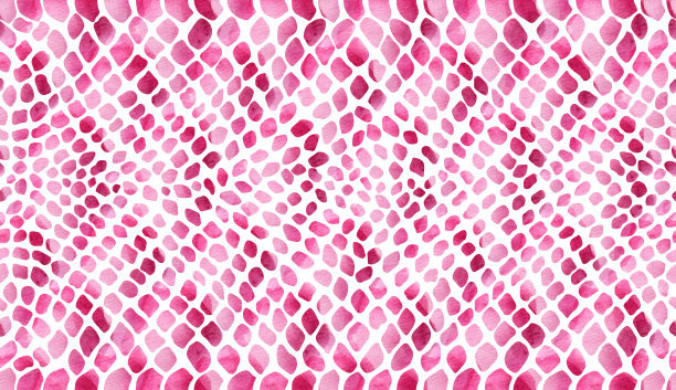 纹理的蛇皮肤粉红色与白色过渡在白色背景上绘制水彩图片下载