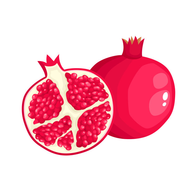 明亮的矢量插图的彩色果汁石榴孤立在白色上。图片下载