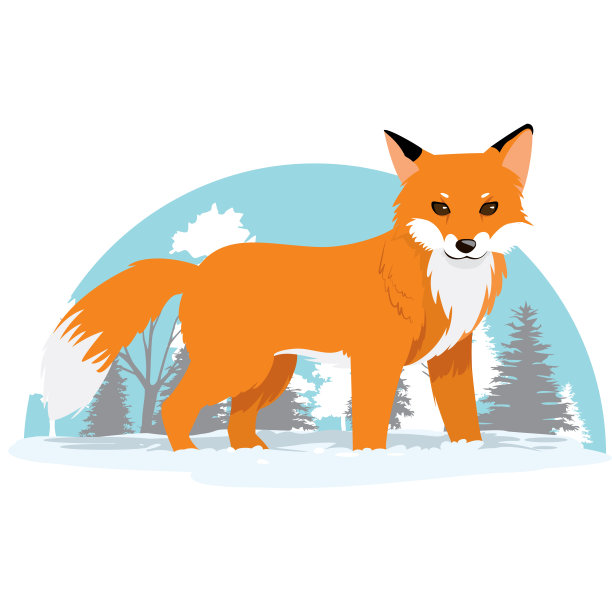 可爱的狐狸矢量插图在白色的背景图片下载
