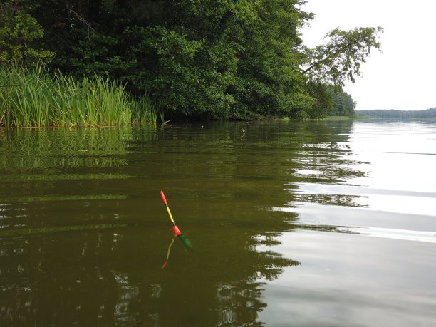 在森林湖上钓鱼时，在岸边漂浮。图片下载
