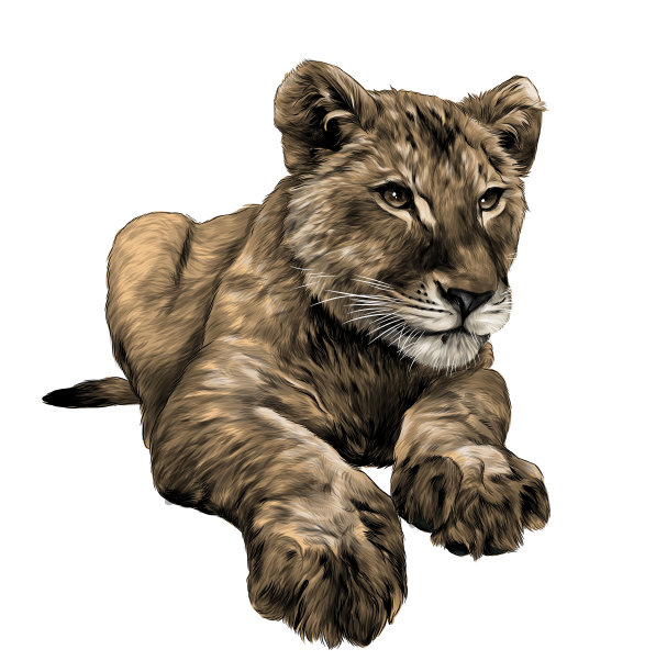 小狮子幼崽全身直立图片下载