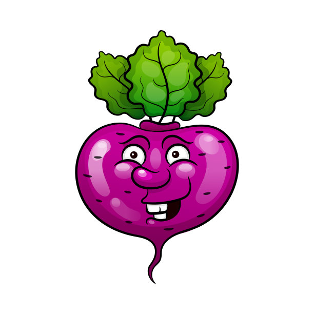 甜菜。白色背景上孤立的蔬菜。图片下载