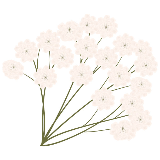 艺术水彩自然枝花元素。图片下载