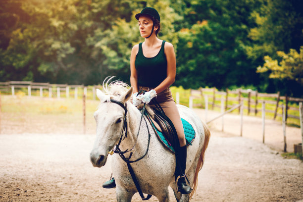 正在训练的马和女骑手图片下载