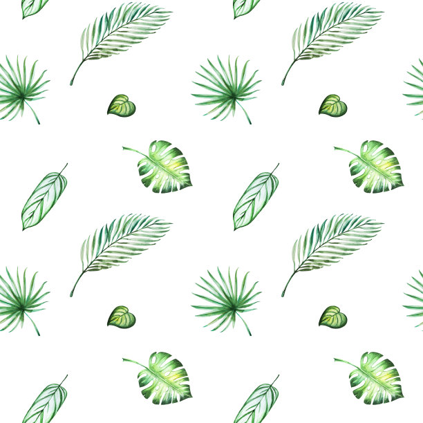 热带树叶的无缝图案。蓬莱蕉,手掌。水彩画。外来植物。自然的打印。草图。图片下载