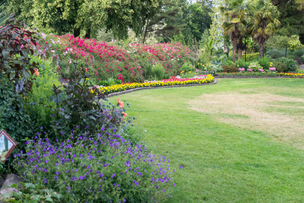 草坪和花园4图片下载