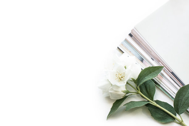 印刷照片，宝丽来卡片，蓝色背景上有白花。模拟了图片下载