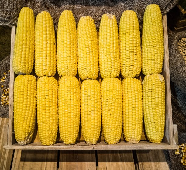 托盘上的玉米图片下载