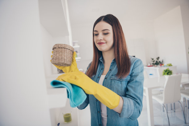 漂亮女佣的照片一般春季打扫客厅的家具架子上积满灰尘图片下载